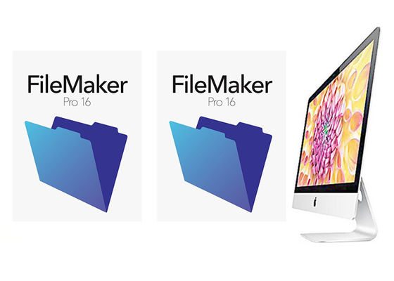 چین FileMaker Pro 16 واقعی جعبه خرده فروشی Box Multi Language برای MAC تامین کننده